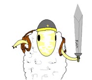 sheep.jpg