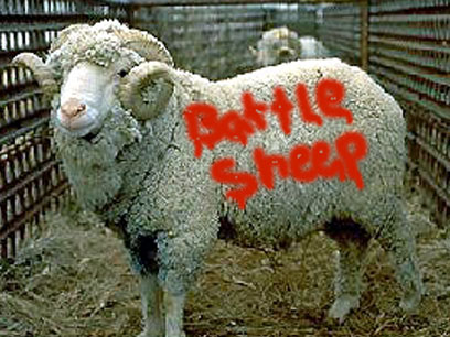 sheepwithgraffiti.jpg